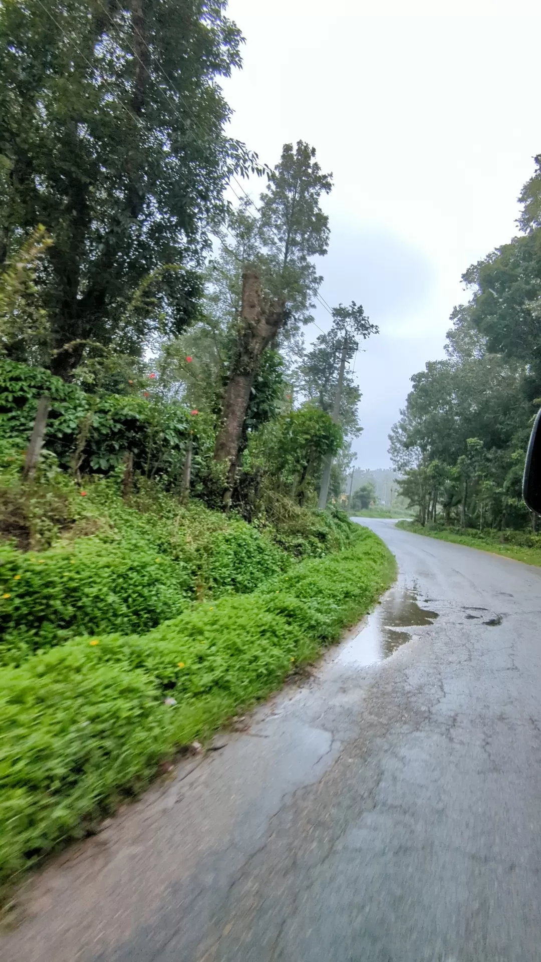 Photo of Zostel Coorg By Sinchita Sinha
