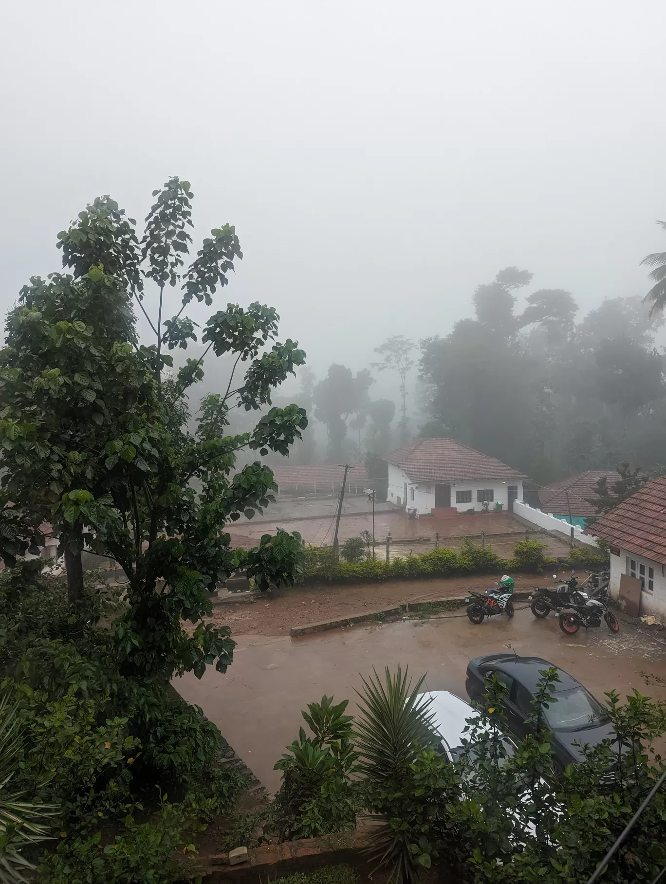 Photo of Zostel Coorg By Sinchita Sinha