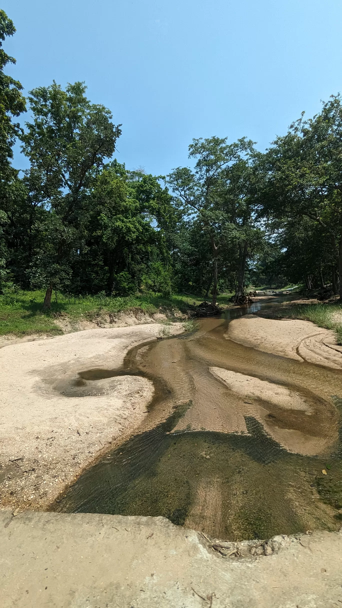 Photo of La Selva Resort By Sinchita Sinha