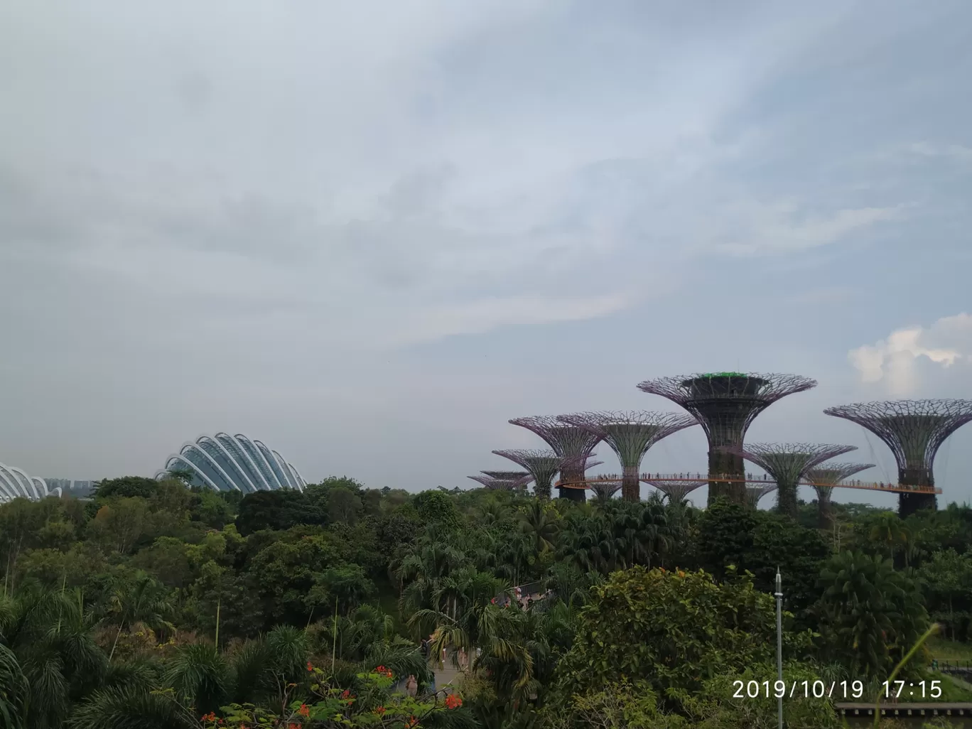 Photo of Gardens by the Bay (TE22) By Noob Traveler