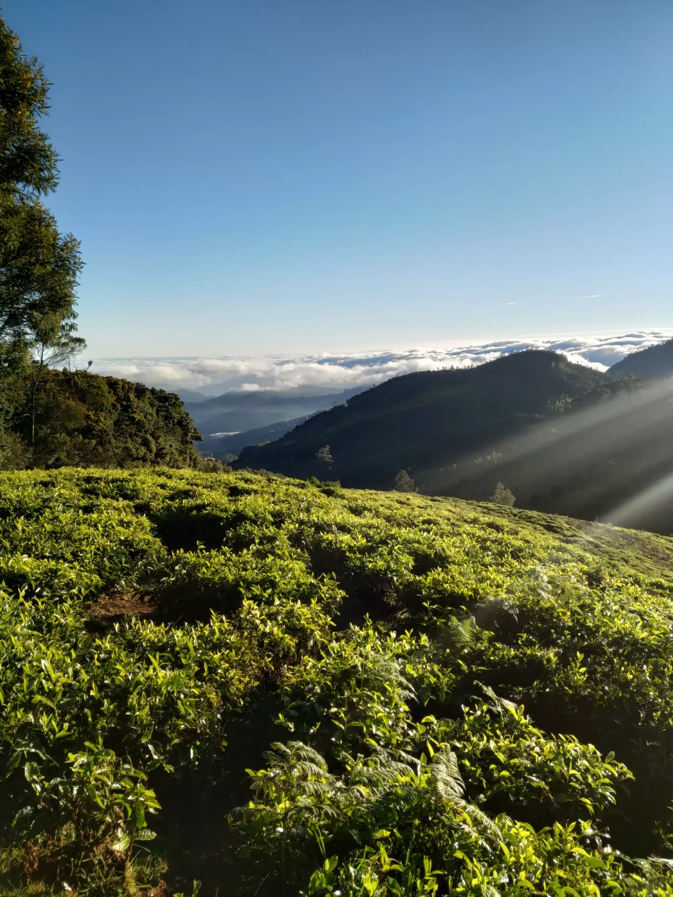 Photo of Ooty By Anupam Ghosh