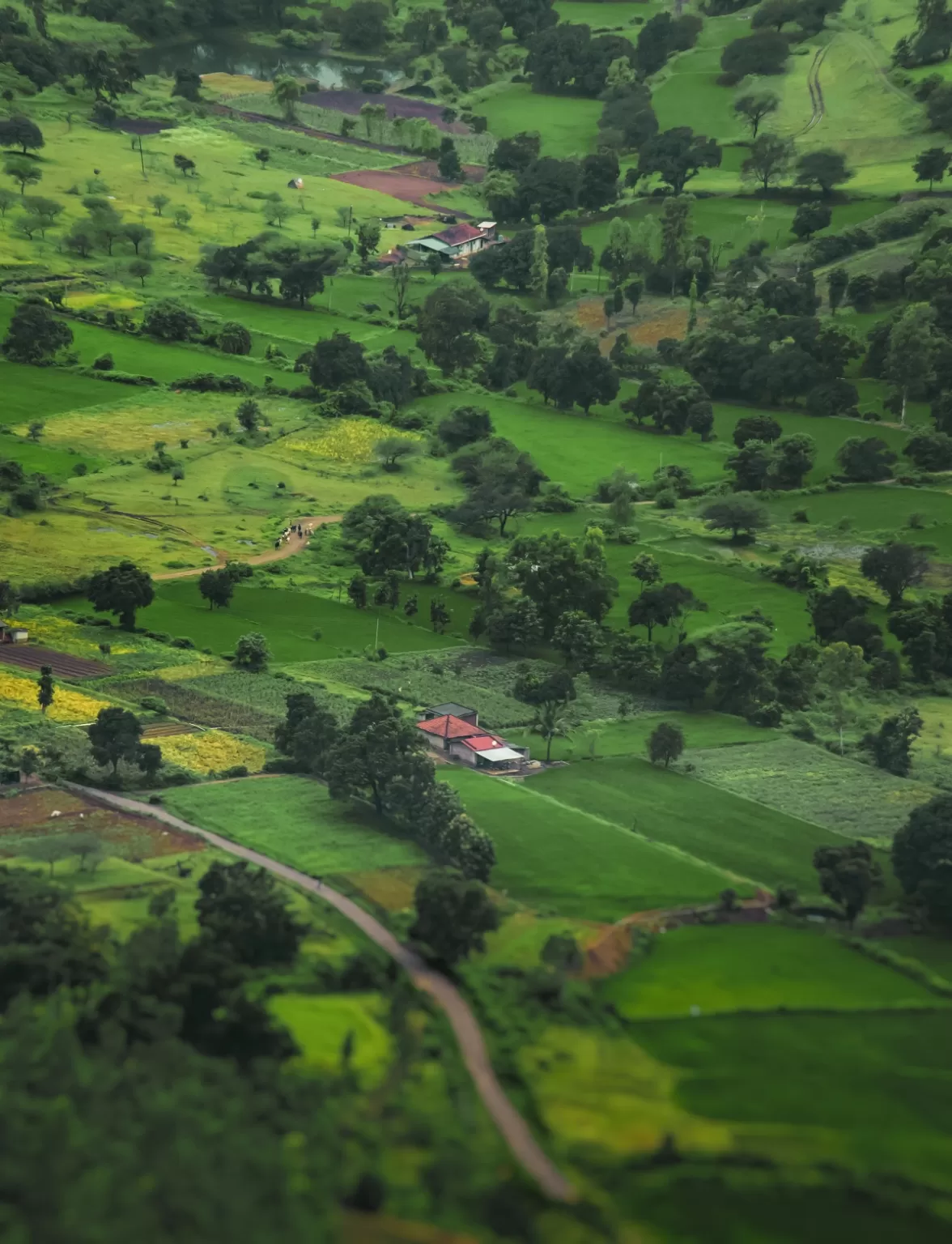 Photo of Maharashtra By Jayesh Pawar