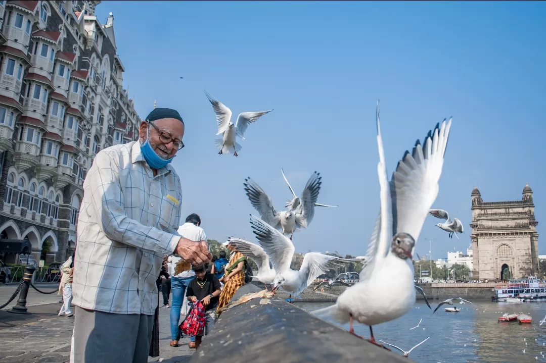 Photo of Mumbai By Jayesh Pawar