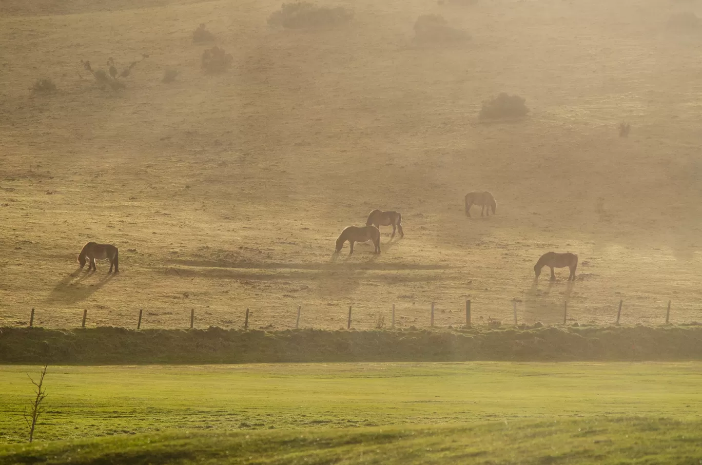 Photo of Scotland By Deepesh Dongre