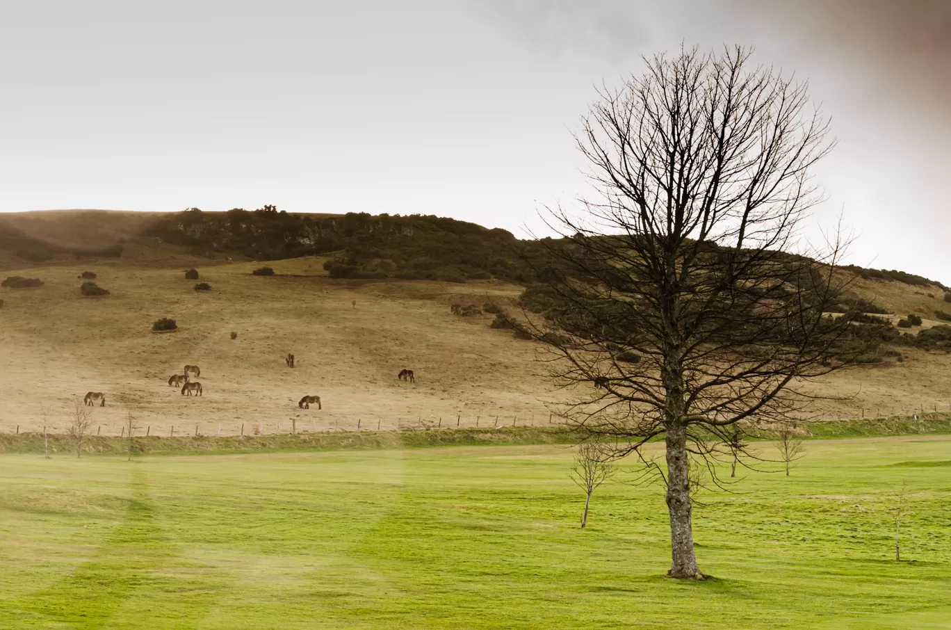 Photo of Scotland By Deepesh Dongre