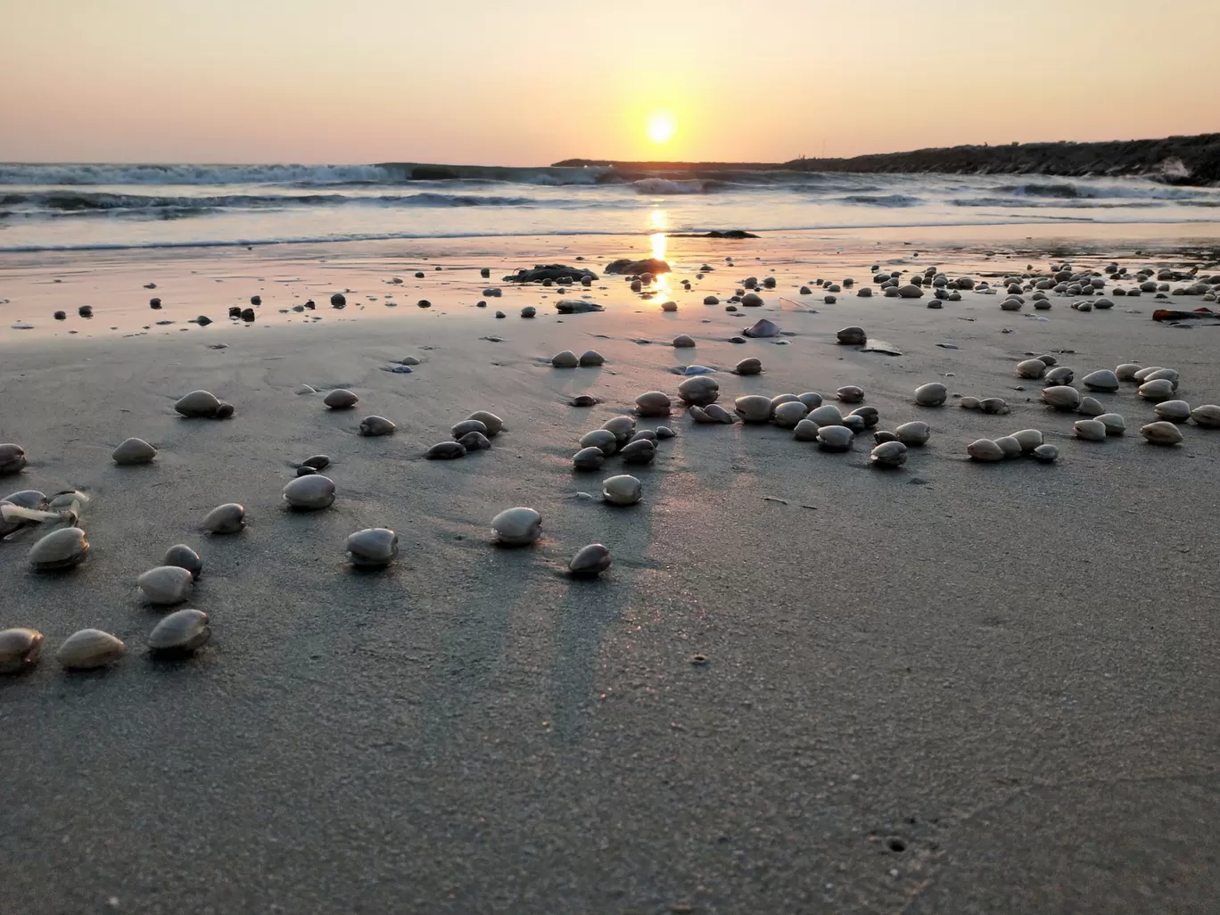Photo of Puthiyappa Beach By pranav vp