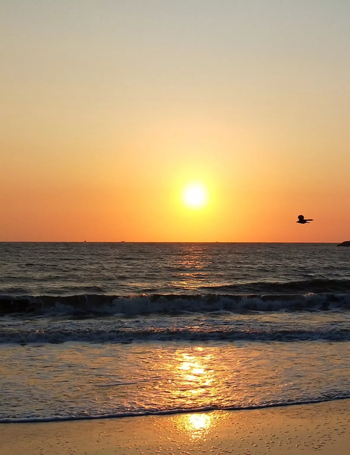 Photo of Puthiyappa Beach By pranav vp