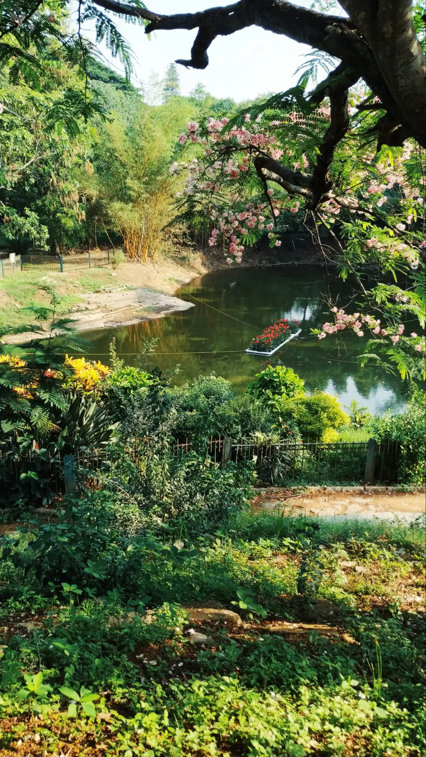 Photo of Lal Bagh By Brunda Rao Nagraj