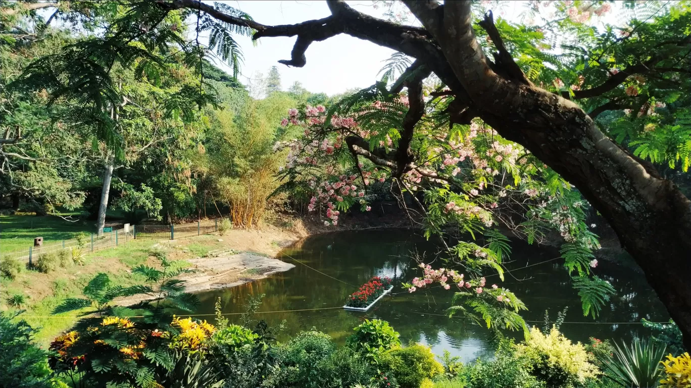 Photo of Lal Bagh By Brunda Rao Nagraj