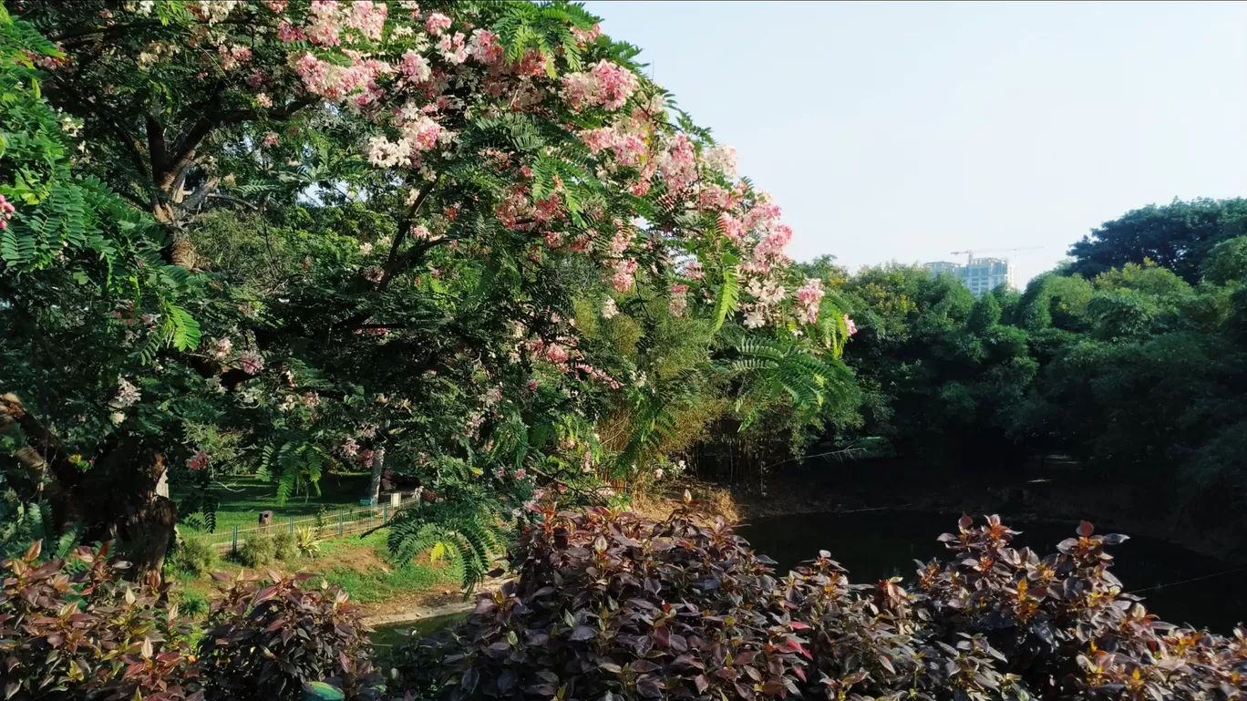 Photo of Lal Bagh By Brunda Rao Nagraj