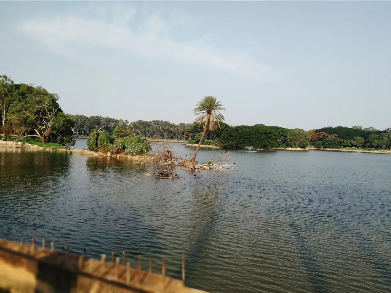 Photo of Lal Bagh By Brunda Rao Nagraj