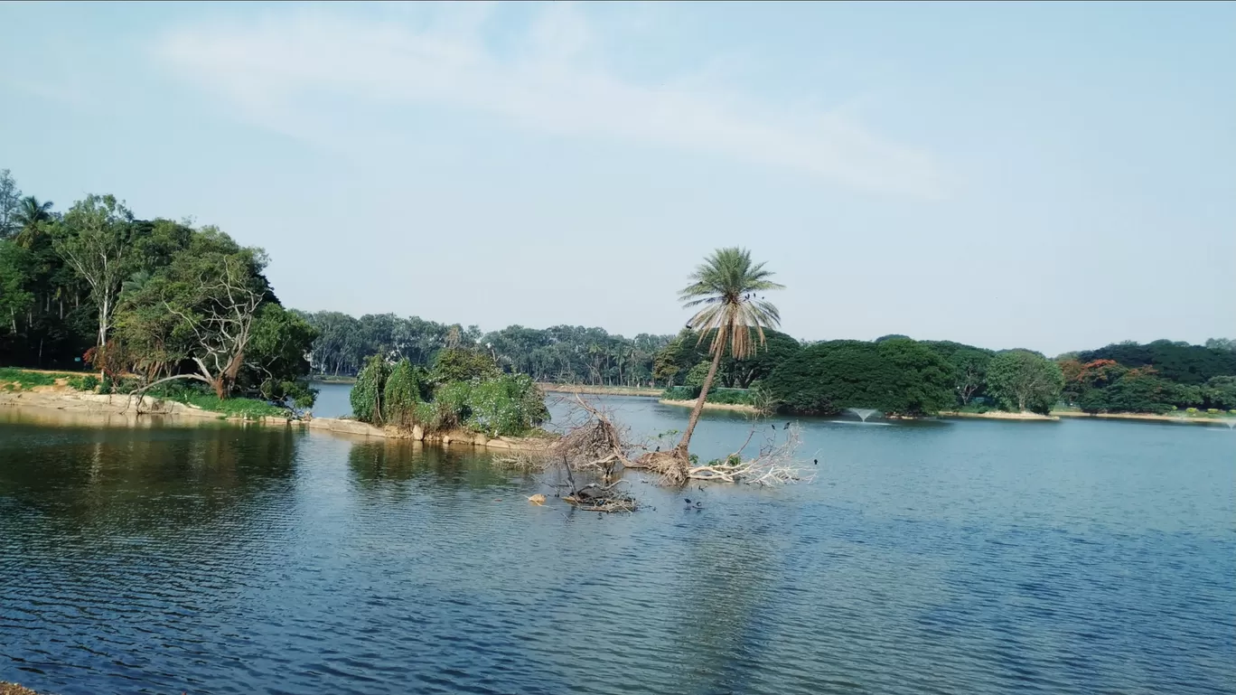 Photo of Lal Bagh By Brunda Rao Nagraj