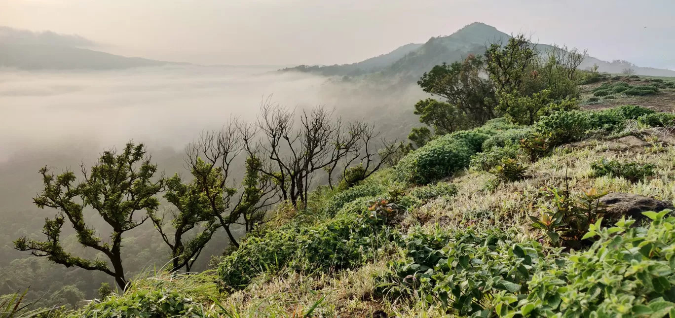 Photo of Mandalpatti Peak By Kalahasti Chandrakiran