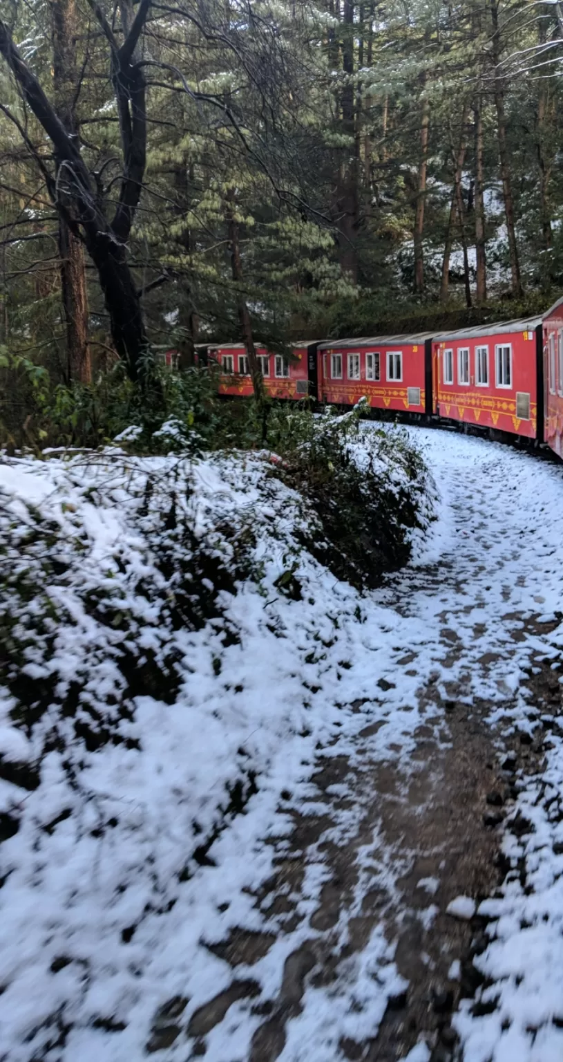 Photo of Shimla By Wanderlust Himani