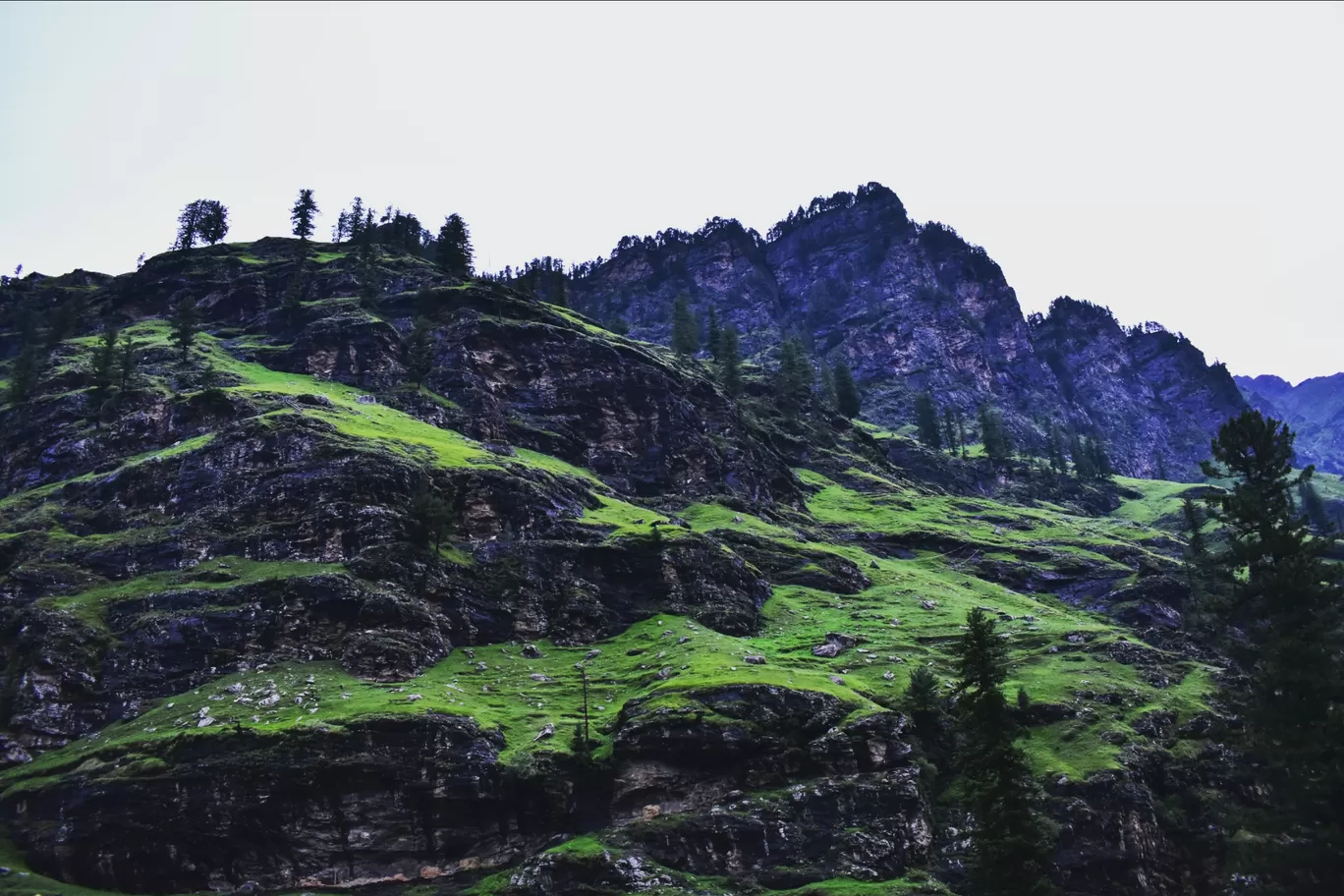 Photo of Rohtang Pass By kanaya dutta