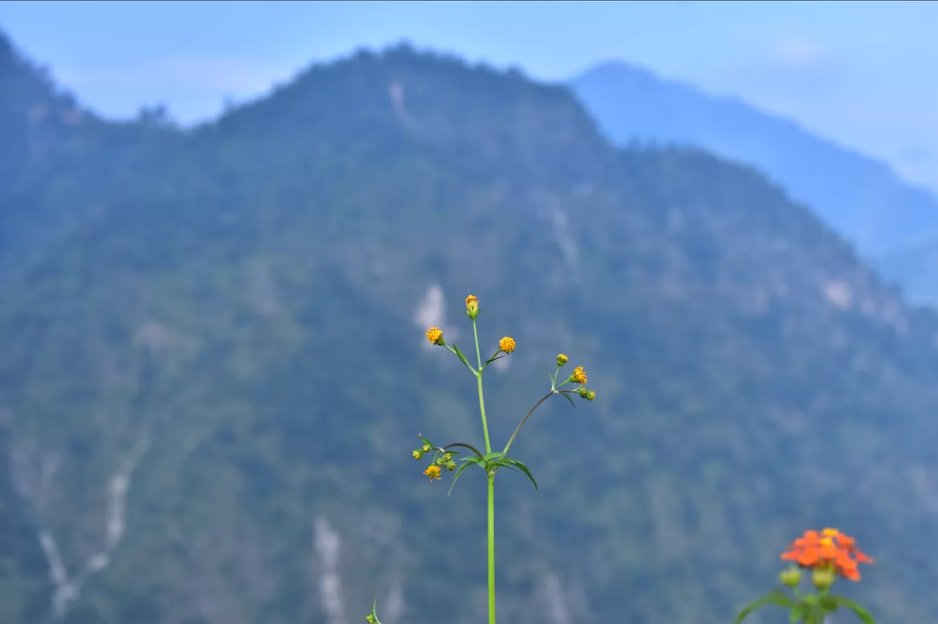 Photo of Dehradun By kanaya dutta