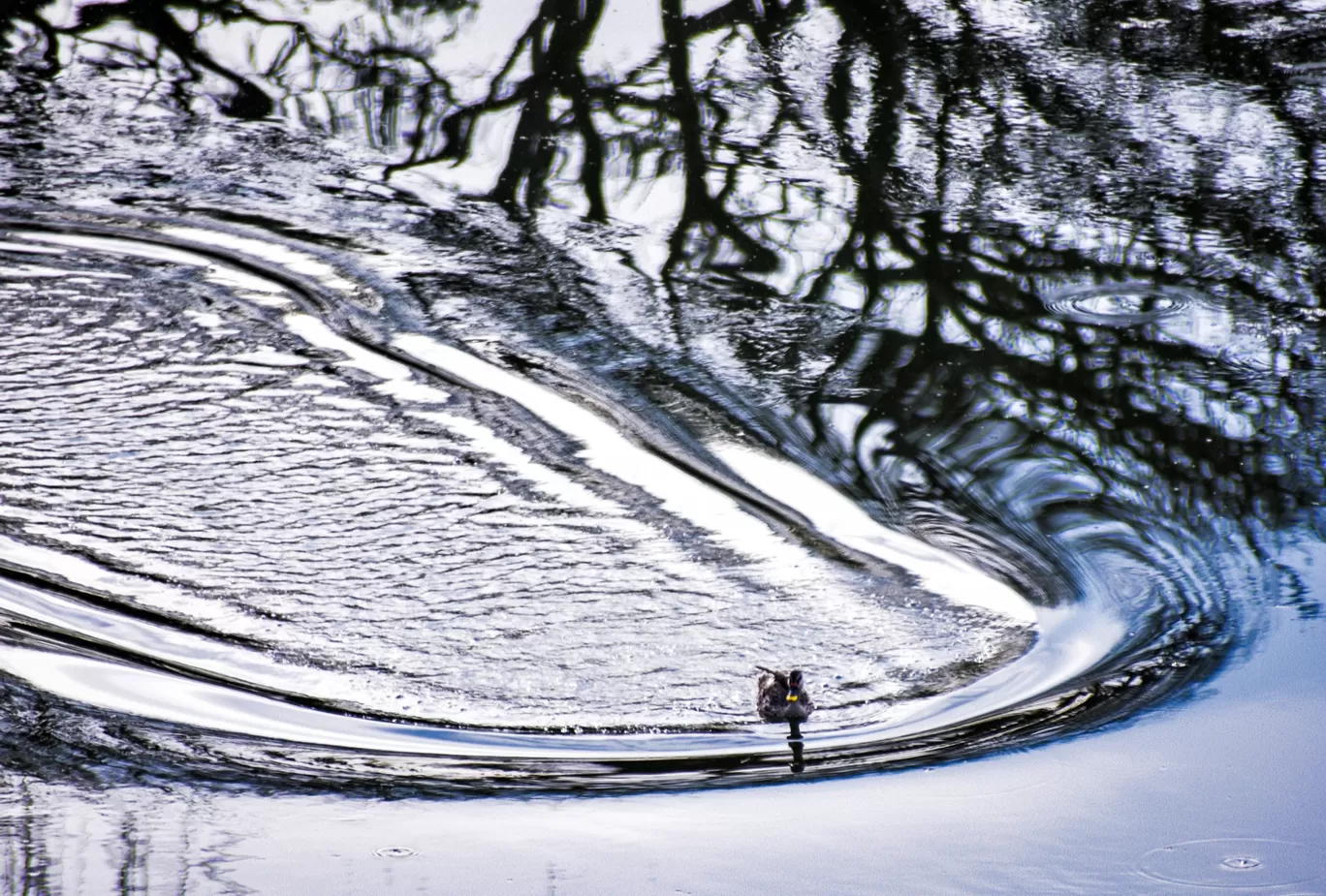 Photo of Karanji Lake By kanaya dutta
