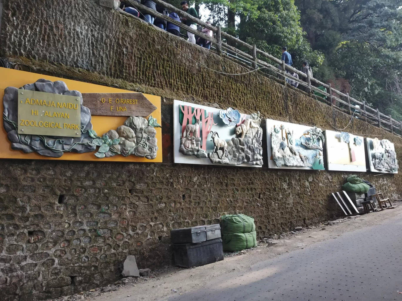 Photo of Darjeeling By Roseferns30