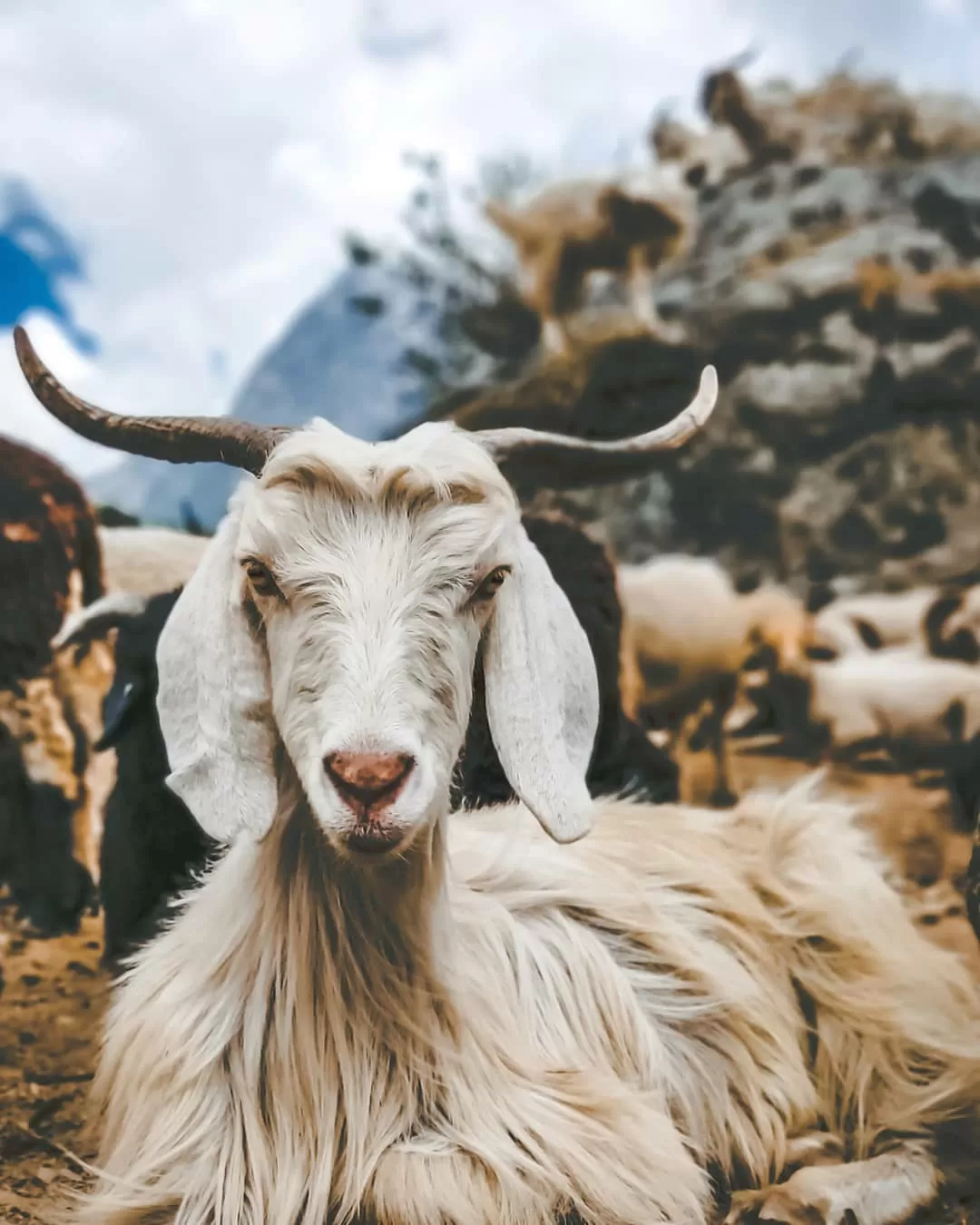Photo of Uttarakhand By Prateek Tirthani