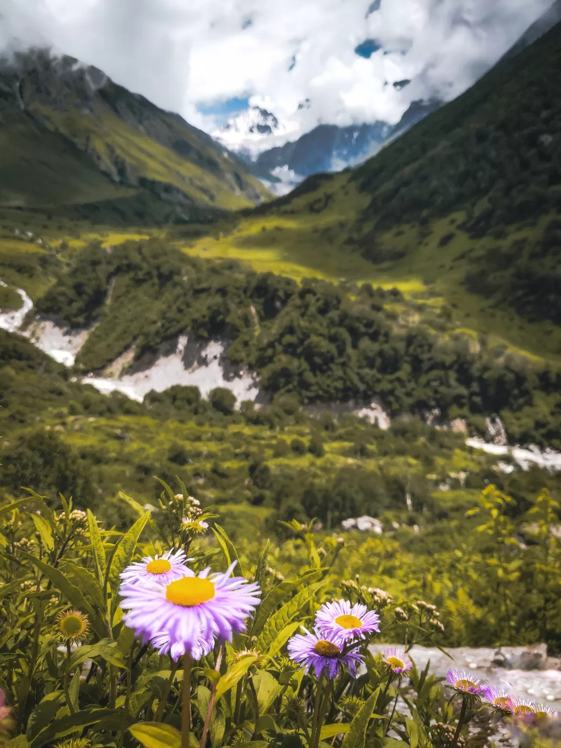 Photo of Valley of Flowers National Park By Prateek Tirthani
