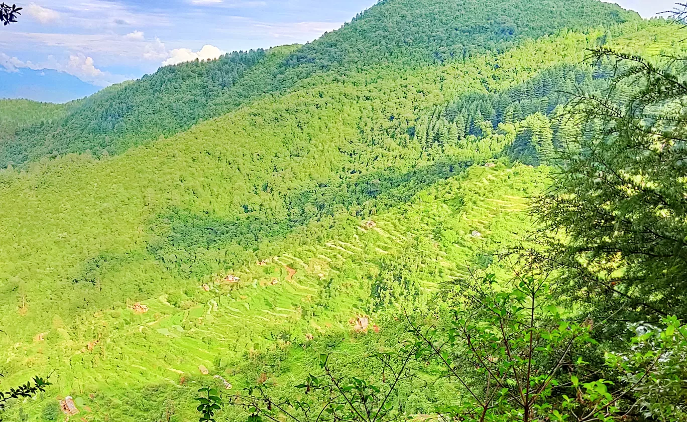 Photo of Kanatal By Mayank Varshney