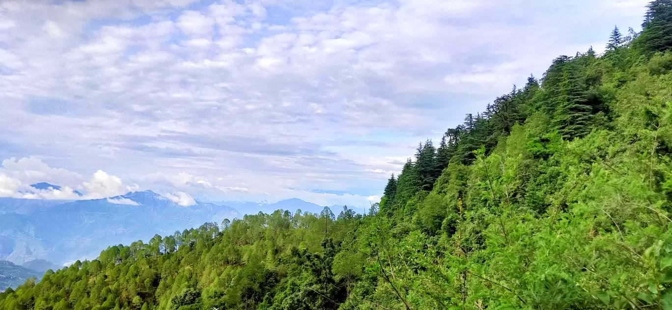 Photo of Kanatal By Mayank Varshney