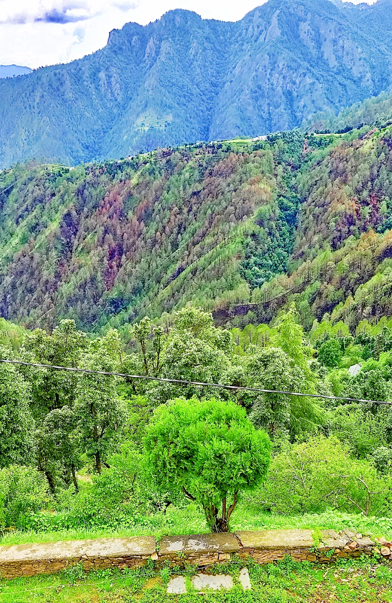 Photo of Kanatal By Mayank Varshney