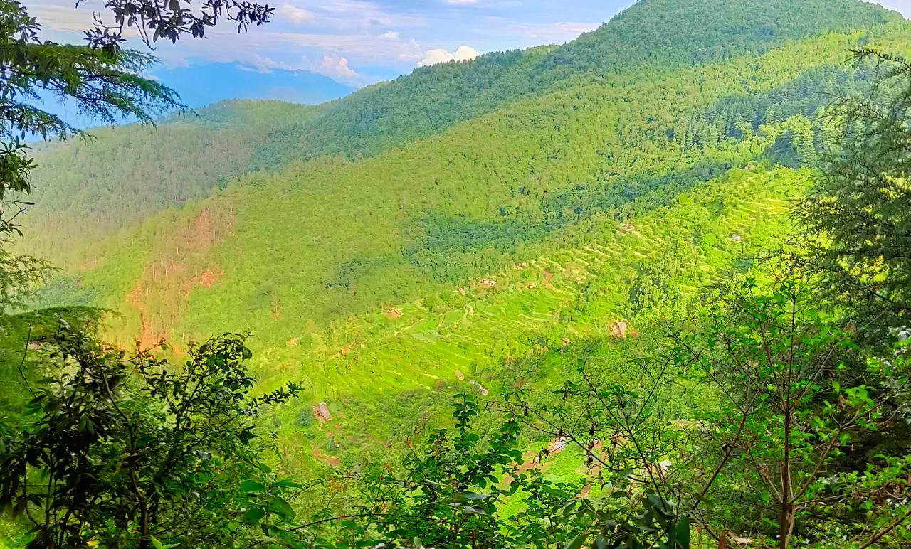 Photo of Kanatal By Mayank Varshney