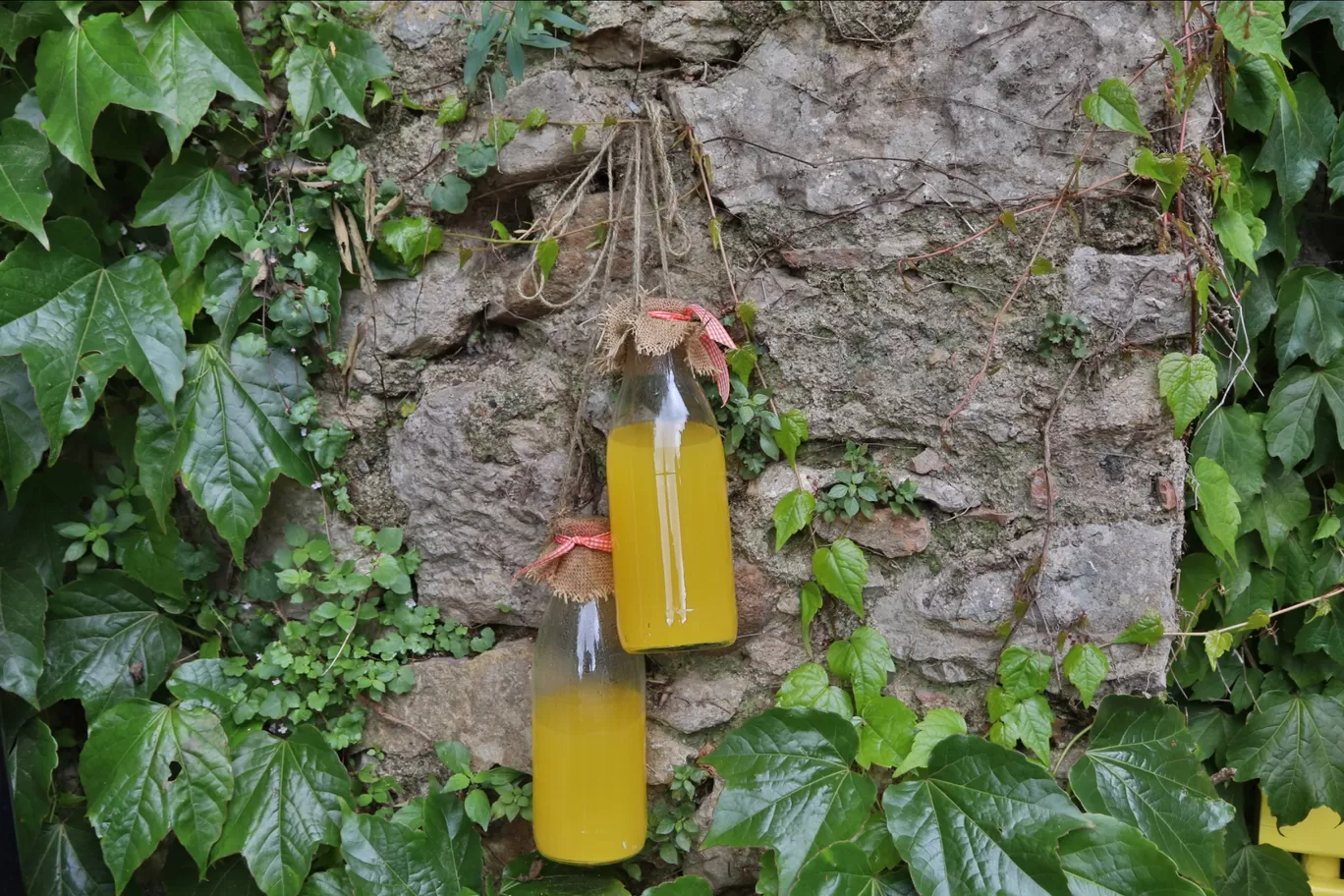 Photo of Girona By Arijit Mullick