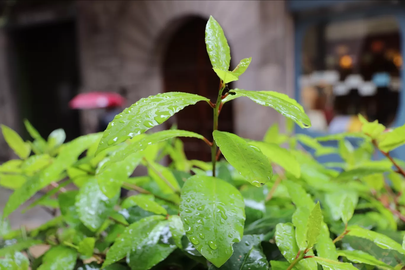 Photo of Girona By Arijit Mullick