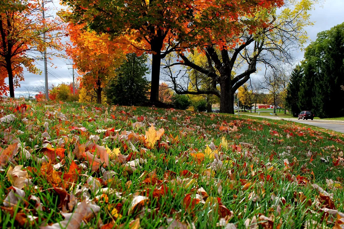 Photo of Kensington Park By Arijit Mullick