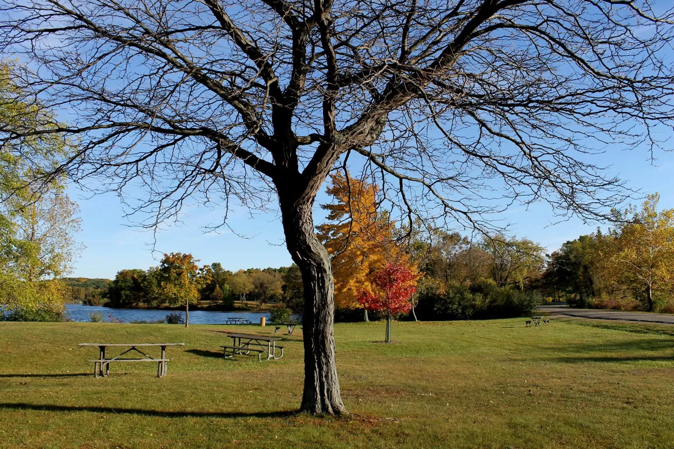 Photo of Kensington Park By Arijit Mullick