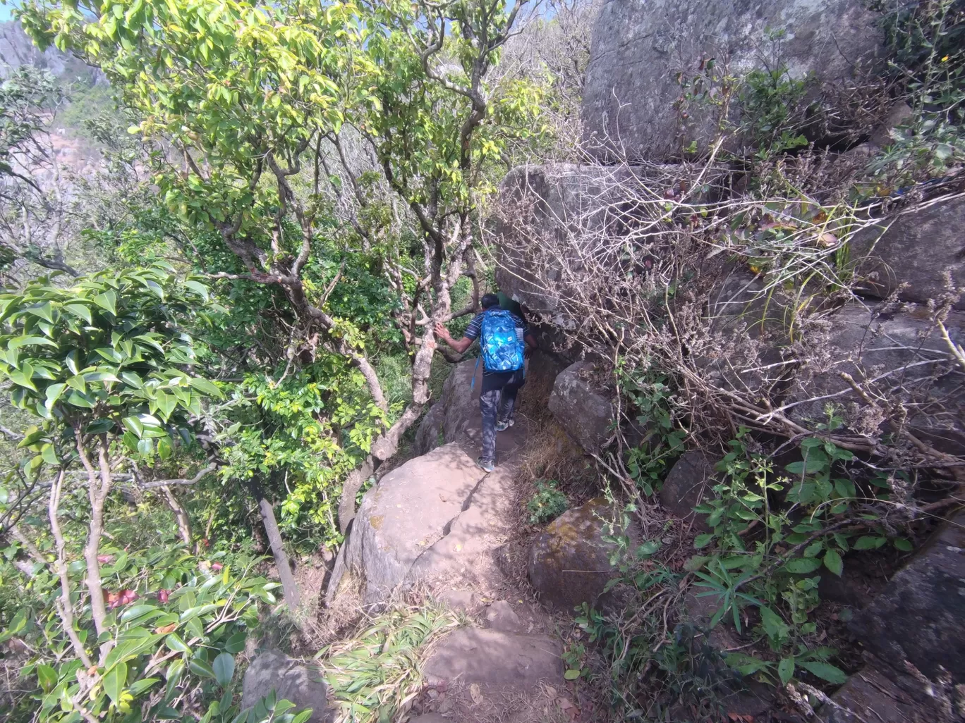 Photo of Gajapati By Baisnabi Behera