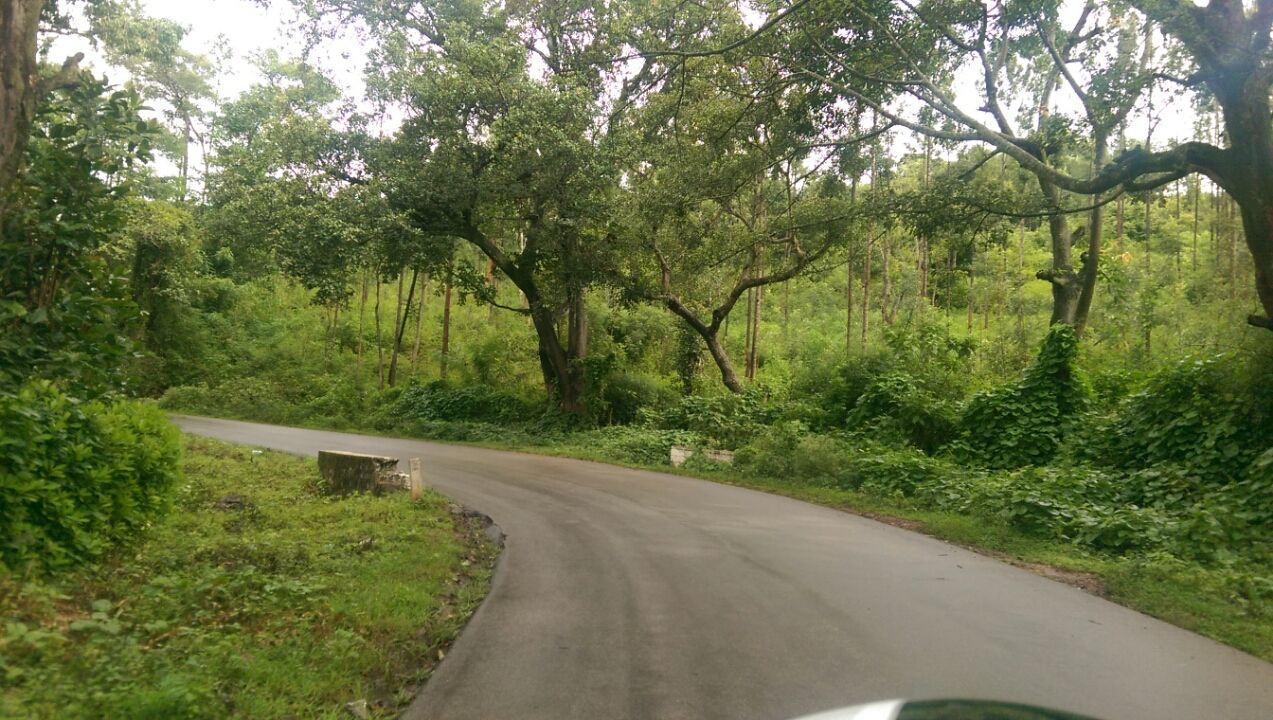 Photo of Monsoon bike ride in Chickmagalur By vinod siragaon