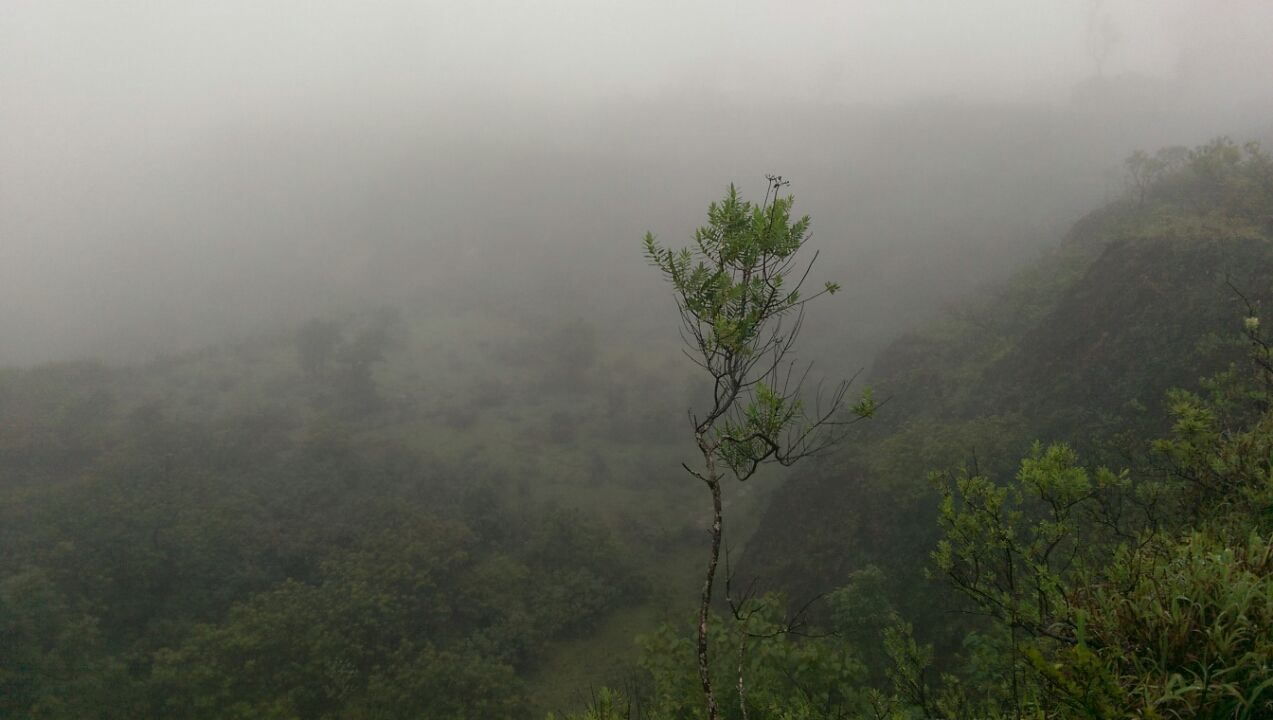 Photo of Monsoon bike ride in Chickmagalur By vinod siragaon