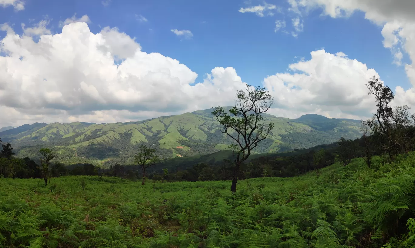 Photo of Mandalpatti Peak By abdul rahiman