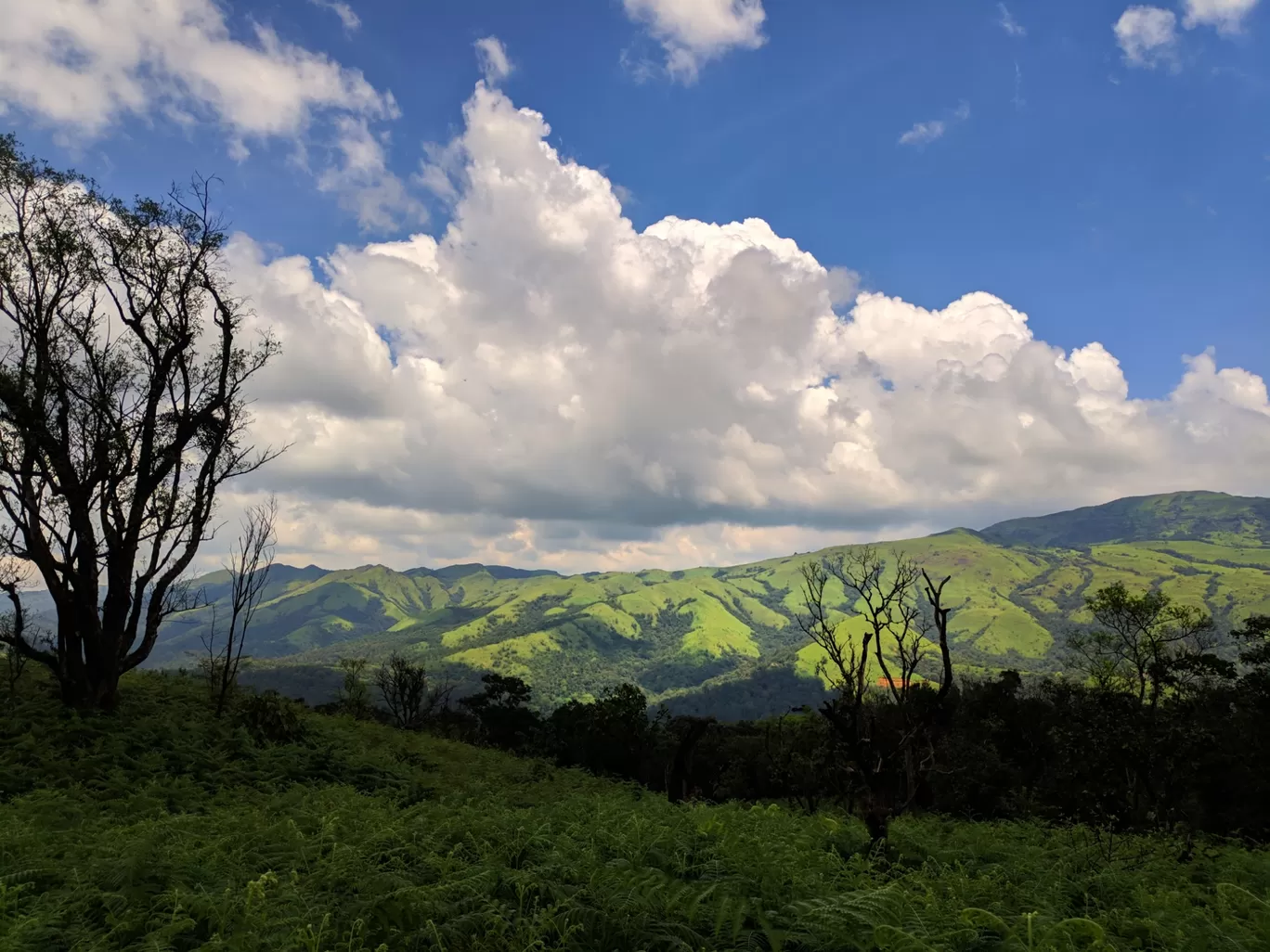 Photo of Mandalpatti Peak By abdul rahiman