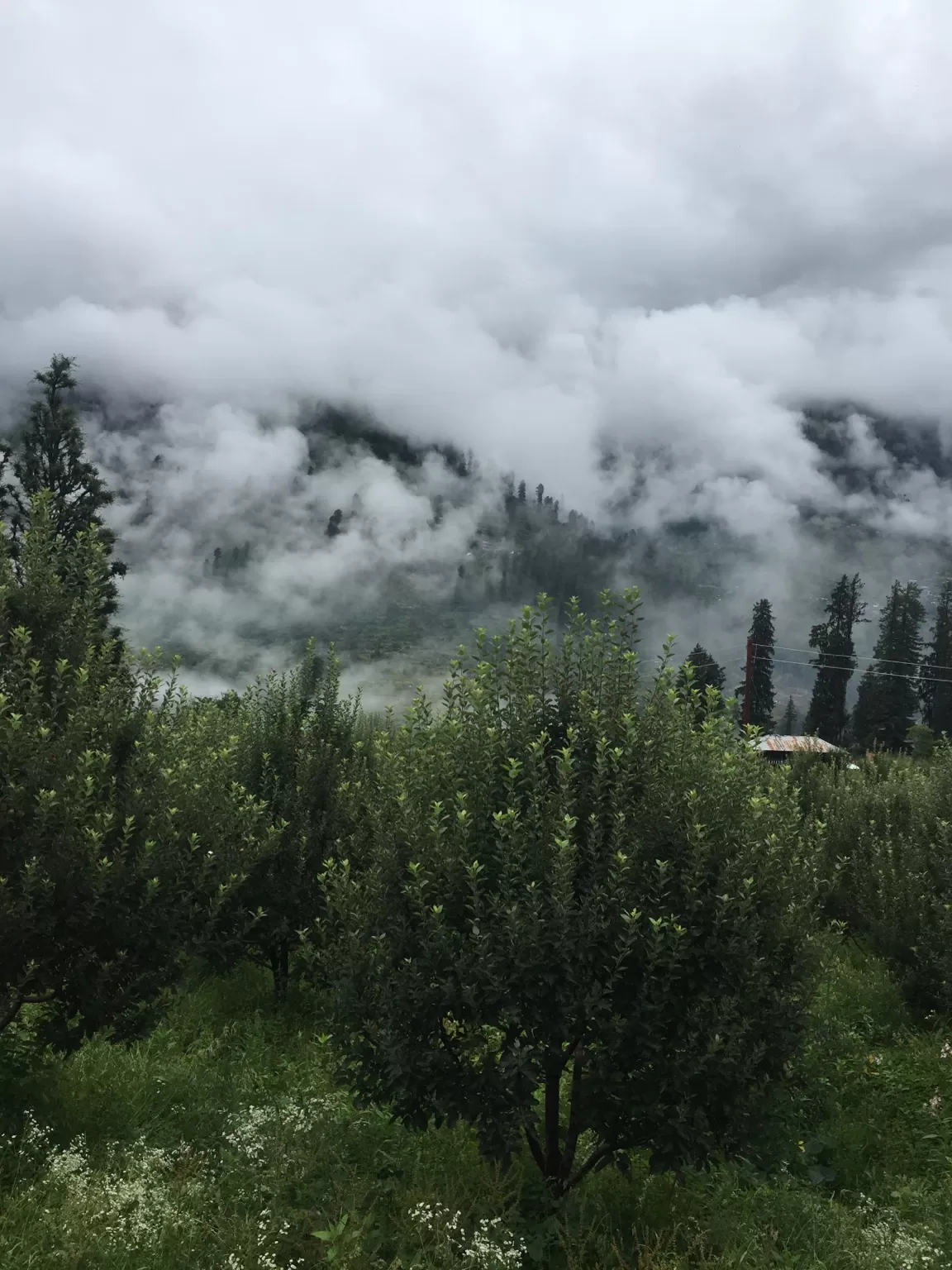 Photo of Kalga ☁️ By Lost soul