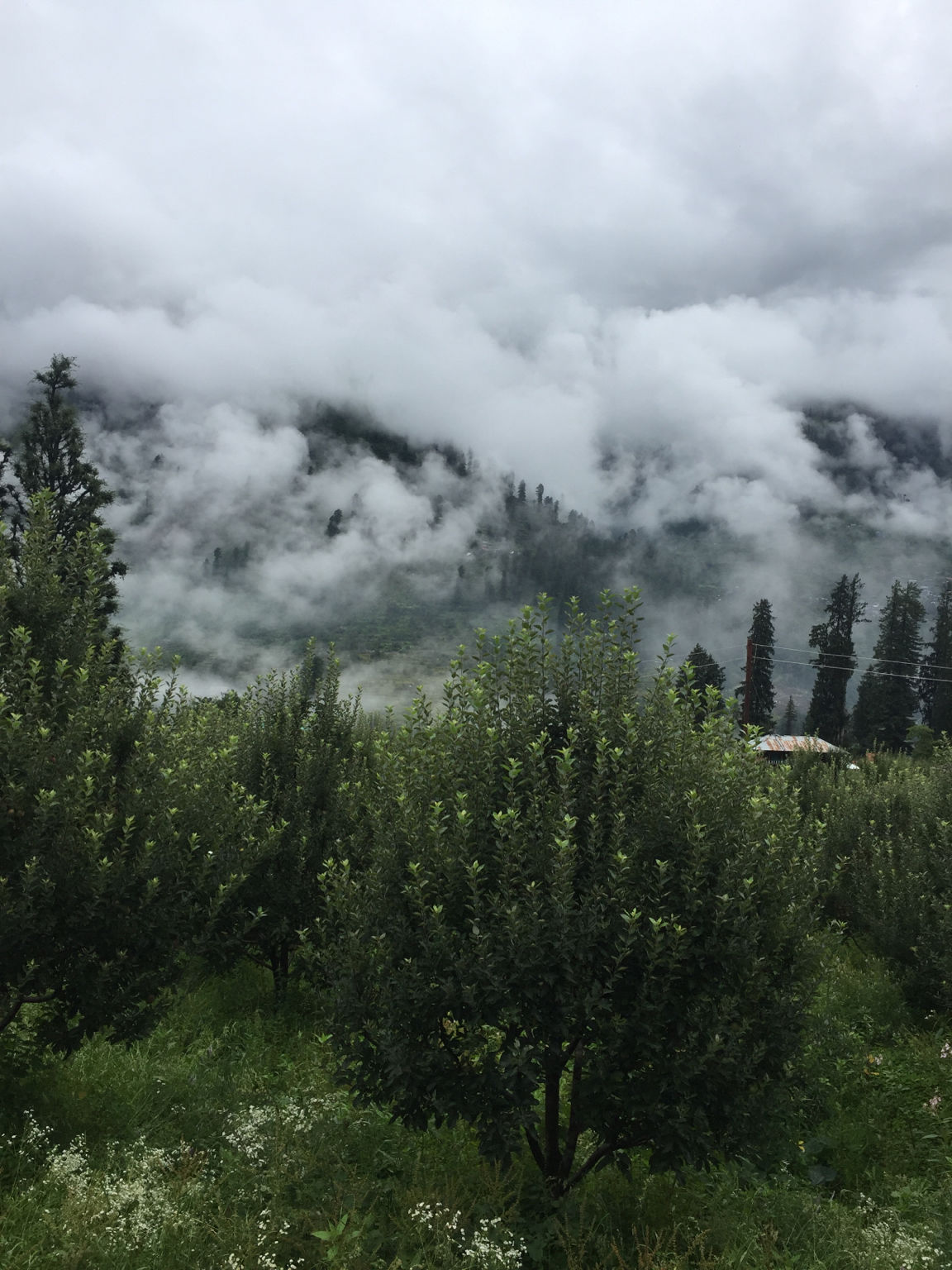 Photo of Kalga ☁️ By Lost soul