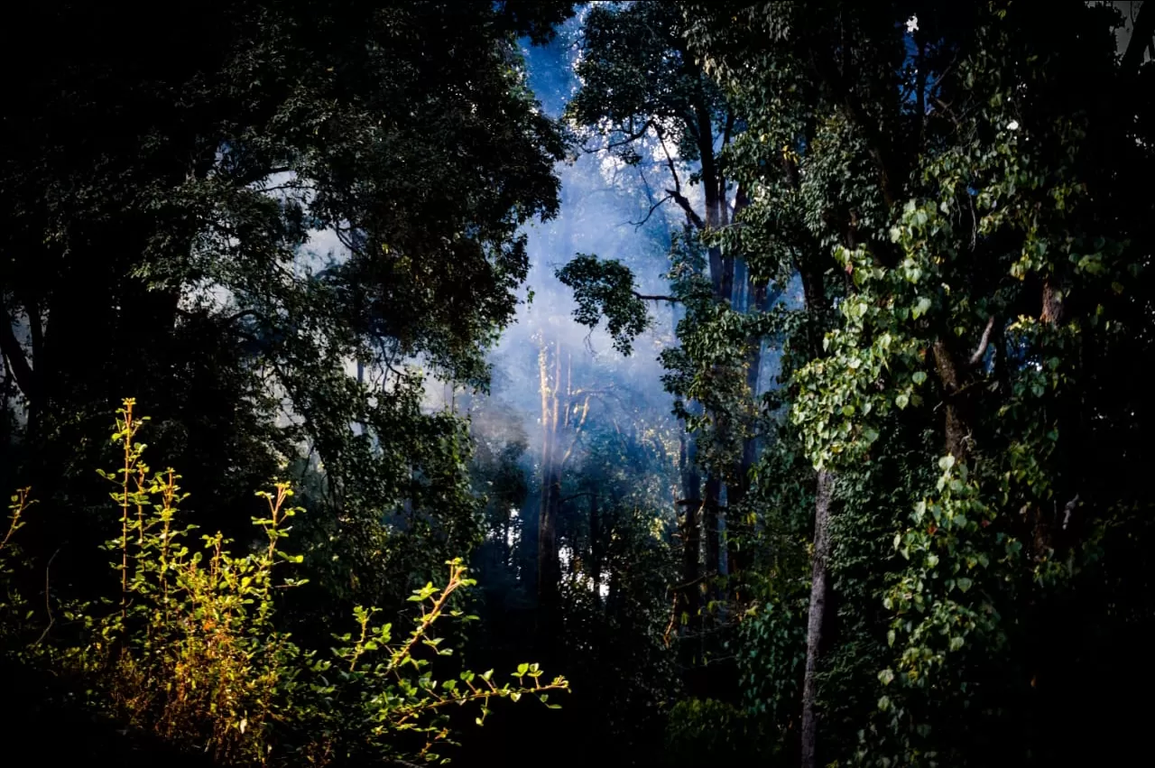 Photo of Sandakhphu By Rajib Maji