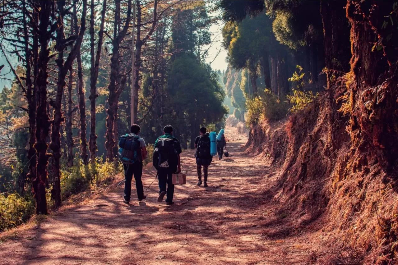 Photo of Sandakhphu By Rajib Maji