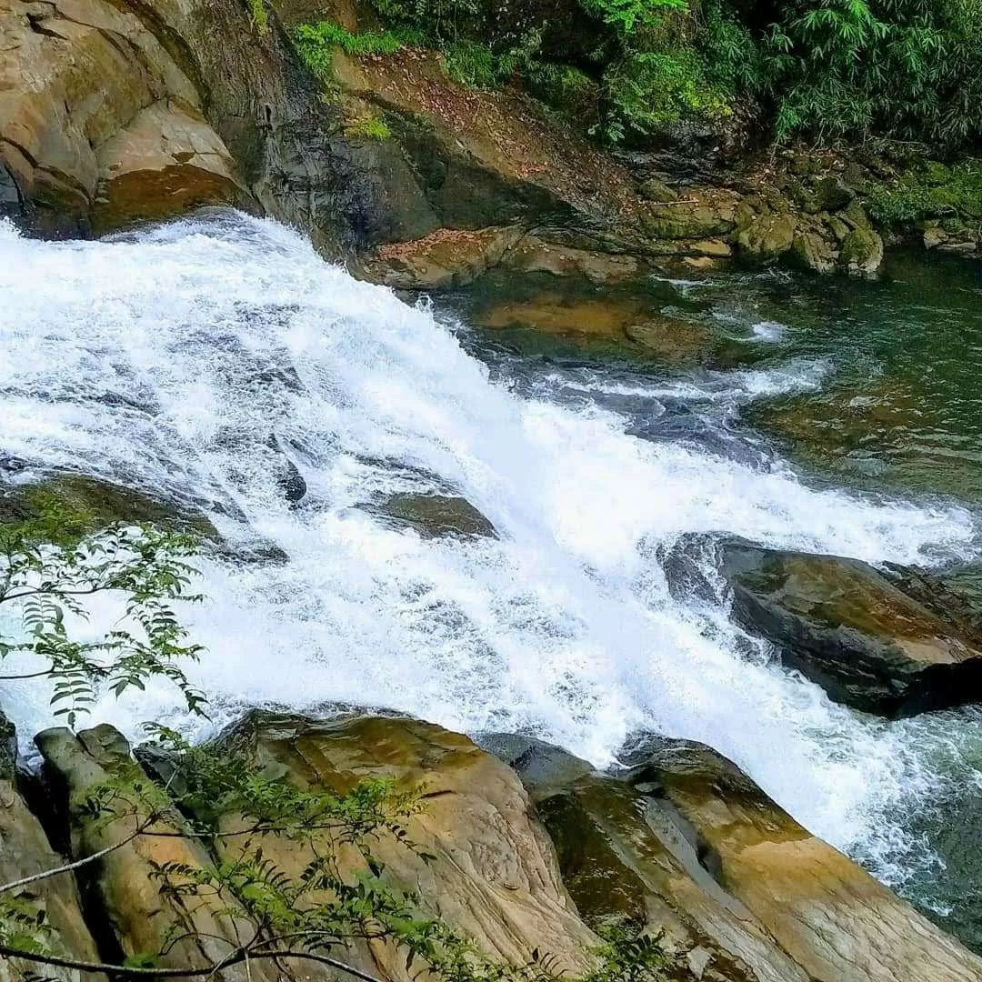 Photo of Thommankuthu Waterfalls By Ananda Mohan Mitra