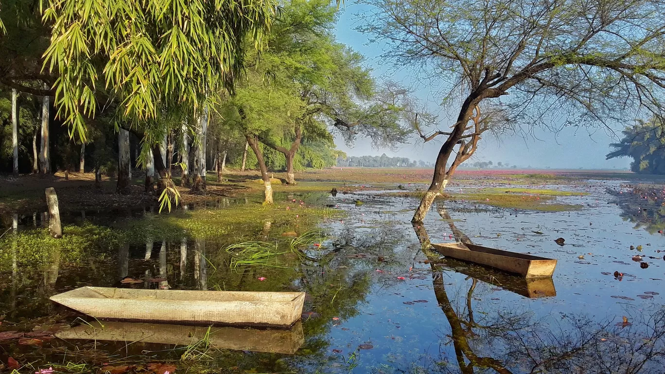 Photo of Gulawat Lotus Valley By Dev Haldar
