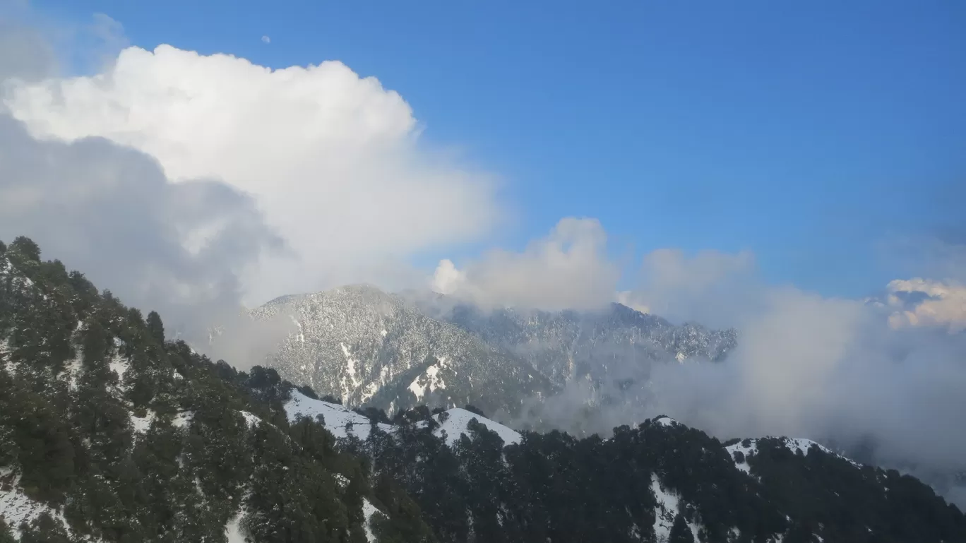 Photo of Bir Billing Paragliding By Varun Singh