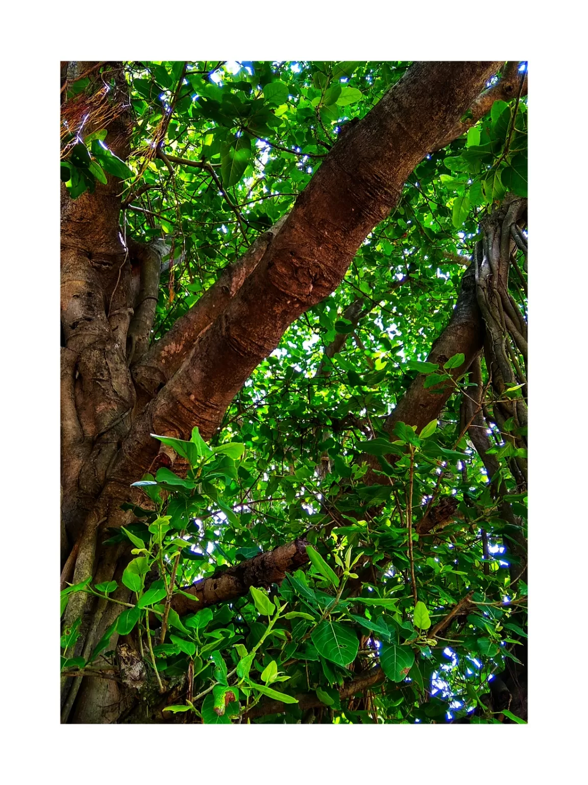 Photo of Jhargram By Subhadeep Giri