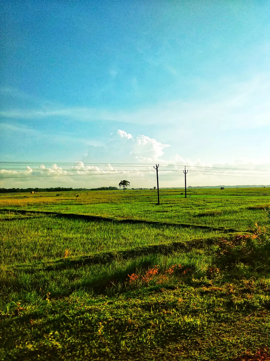 Photo of Jhargram By Subhadeep Giri