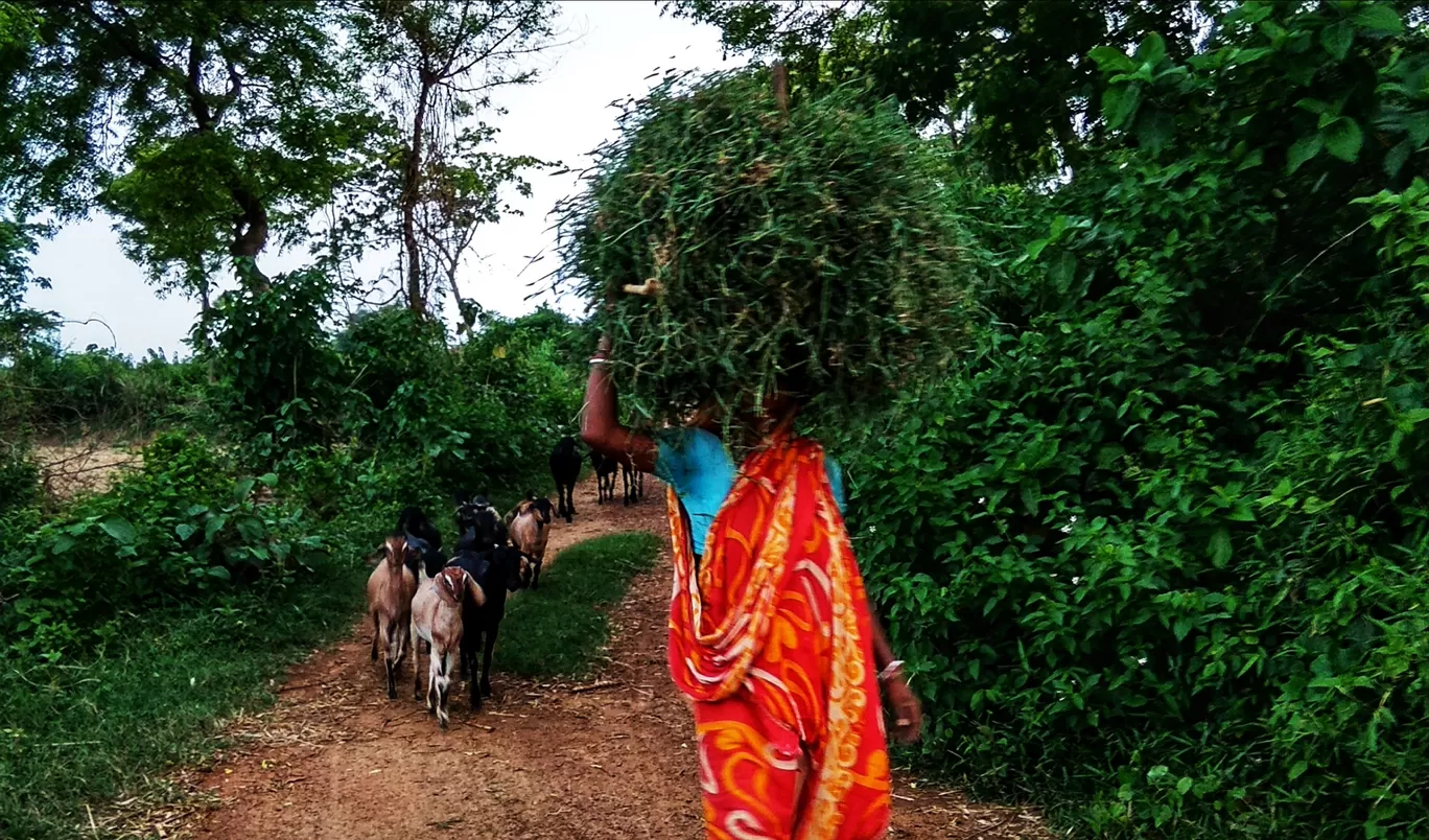 Photo of Jhargram By Subhadeep Giri
