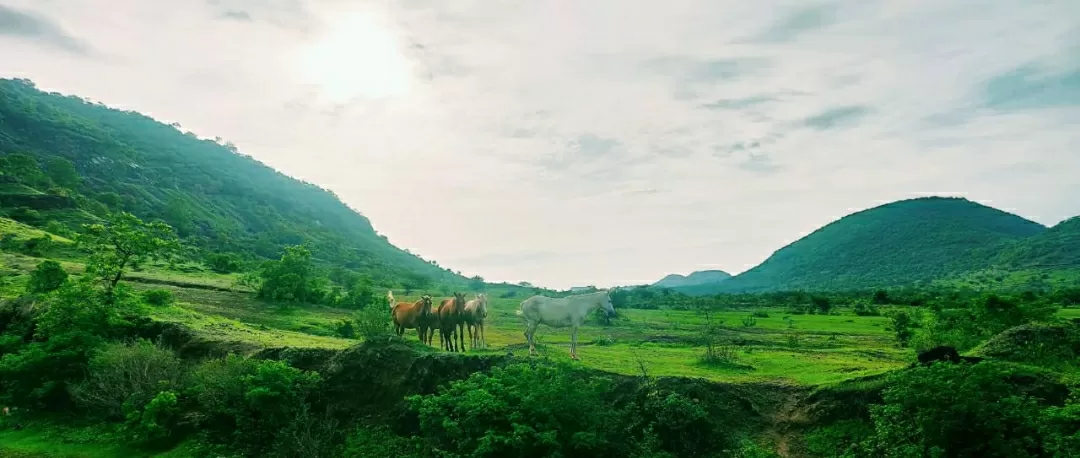 Photo of Samarth Nagar By Miyoshi US