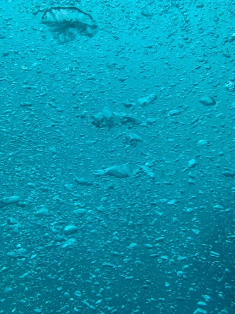 Photo of Maldives By Alisha Goyal