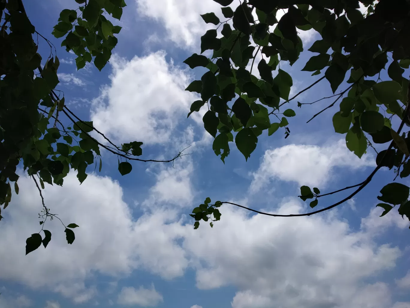 Photo of Bhitaura By अजीत सिंह